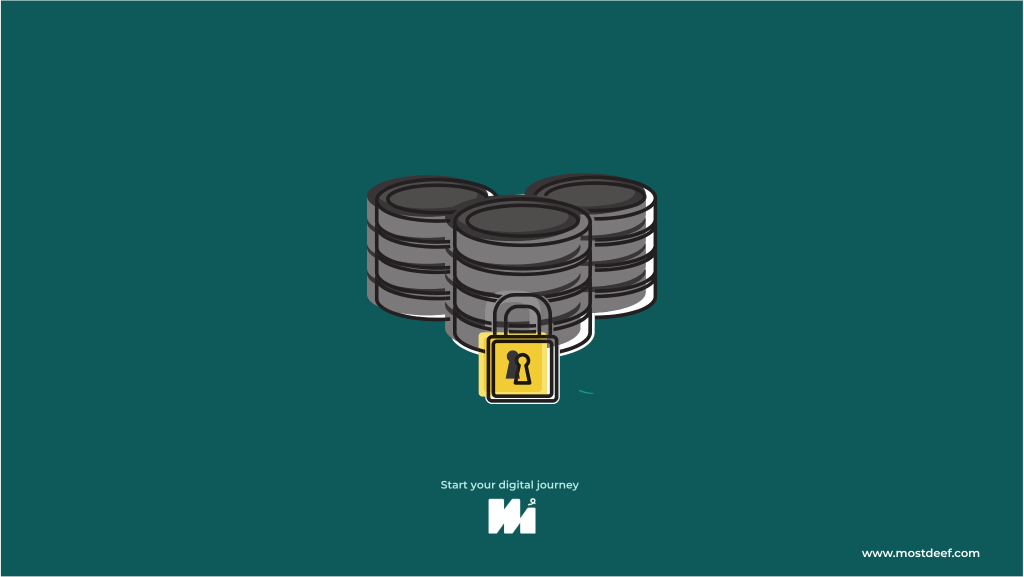شركة استضافة مصرية موثوقة